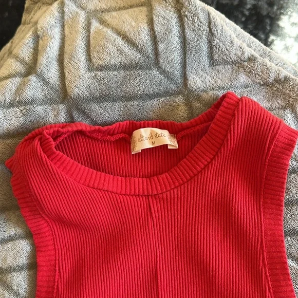 Altard state red knot tank - Picture 3 of 6